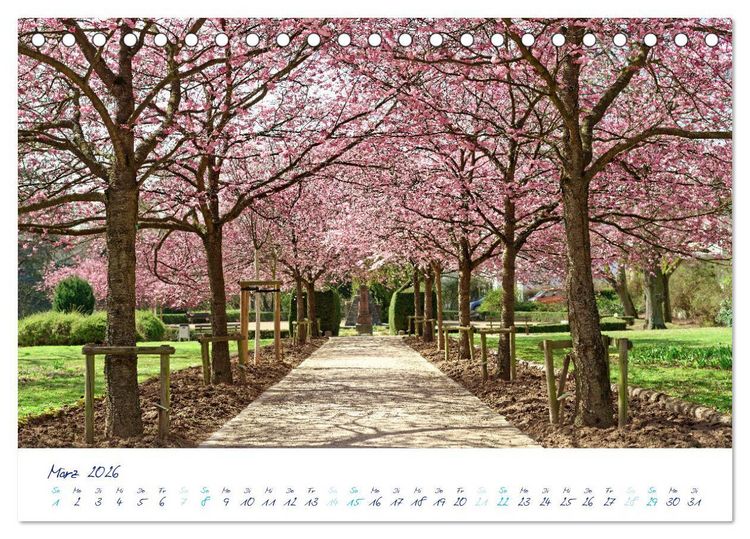 Produktbild: Traumsch&ouml;ner Taunus (Tischkalender 2026 DIN A5 quer), CALVENDO Monatskalender