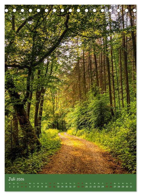 Produktbild: Ich bin dann mal im Wald (Tischkalender 2026 DIN A5 hoch), CALVENDO Monatskalender