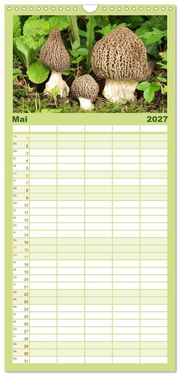 Produktbild: Familienplaner 2027 - Pilzkalender mit 5 Spalten (Wandkalender, 21 x 45 cm) CALVENDO