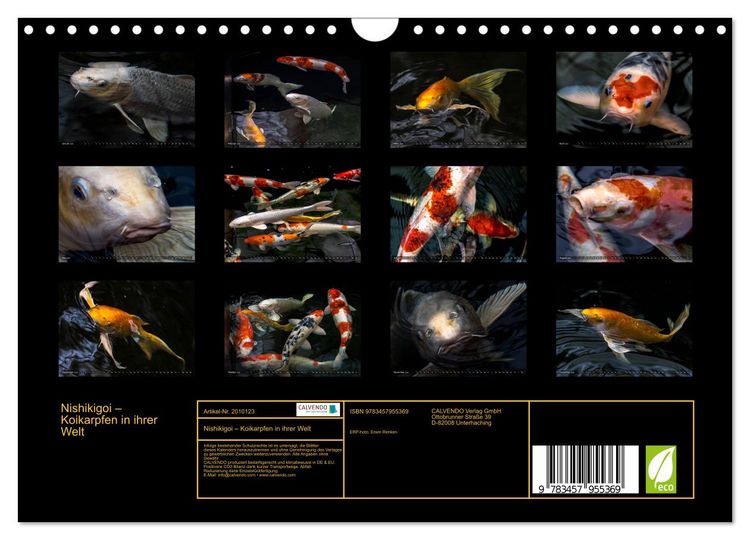 Produktbild: Nishikigoi &ndash; Koikarpfen in ihrer Welt (Wandkalender 2026 DIN A4 quer), CALVENDO Monatskalender