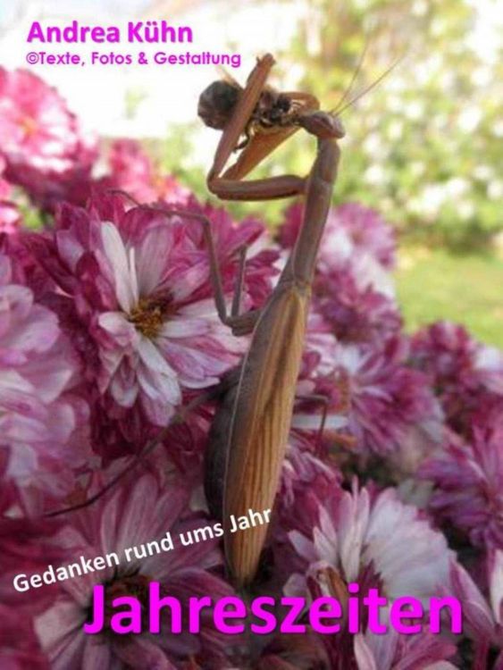 Produktbild: Jahreszeiten