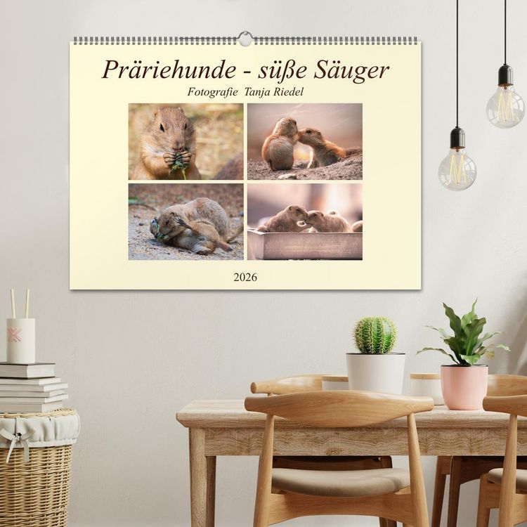 Produktbild: Pr&auml;riehunde - s&uuml;&szlig;e S&auml;uger (Wandkalender 2026 DIN A2 quer), CALVENDO Monatskalender