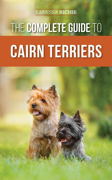 Produktbild: The Complete Guide to Cairn Terriers: Finding, Raising, Training, Socializing, Exercising, Feeding, and Loving Your New Cairn Terrier Puppy