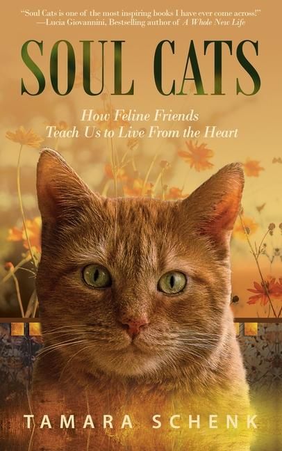 Produktbild: Soul Cats