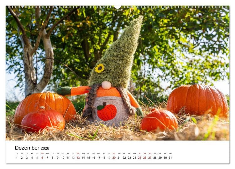 Produktbild: K&Uuml;RBIS KALENDER - Die sch&ouml;nsten K&uuml;rbisse des Jahres (hochwertiger Premium Wandkalender 2026 DIN A2 quer), Kunstdruck in Hochglanz