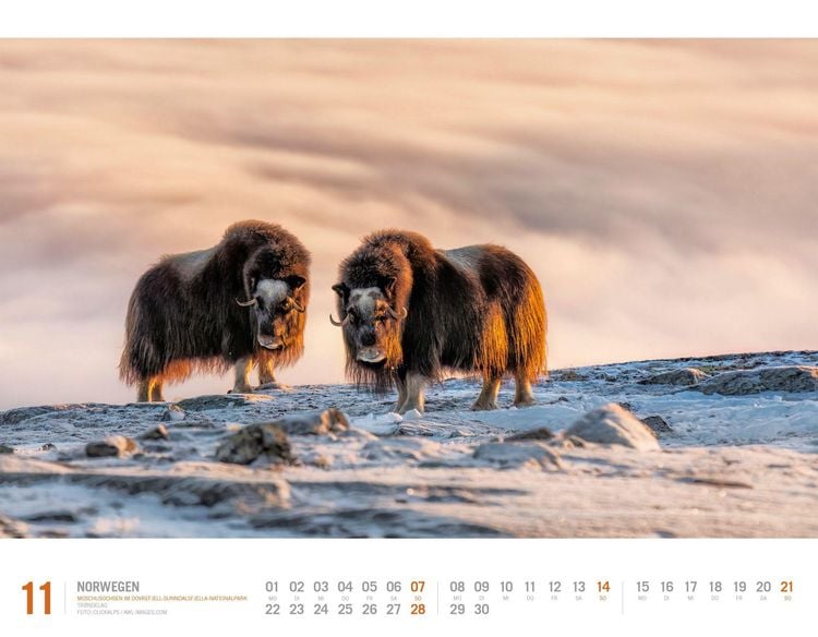 Produktbild: Norwegen Kalender 2027 | Unterwegs zwischen Fjordland und Nordkap