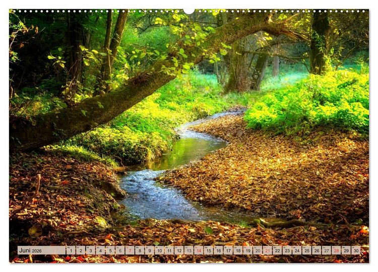 Produktbild: Leise durch den Wald. Sich Zeit nehmen und der Stille lauschen (hochwertiger Premium Wandkalender 2026 DIN A2 quer), Kunstdruck in Hochglanz