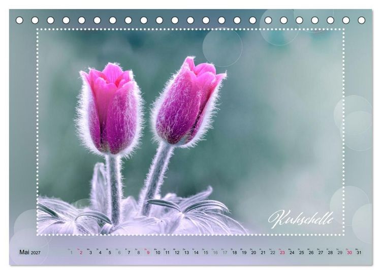 Produktbild: Bl&uuml;tenbouquet (Tischkalender 2027 DIN A5 quer), CALVENDO Monatskalender