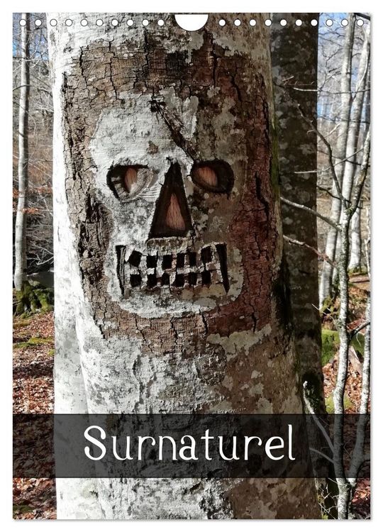 Produktbild: Surnaturel (Calendrier mural 2026 DIN A4 horizontal), CALVENDO calendrier mensuel