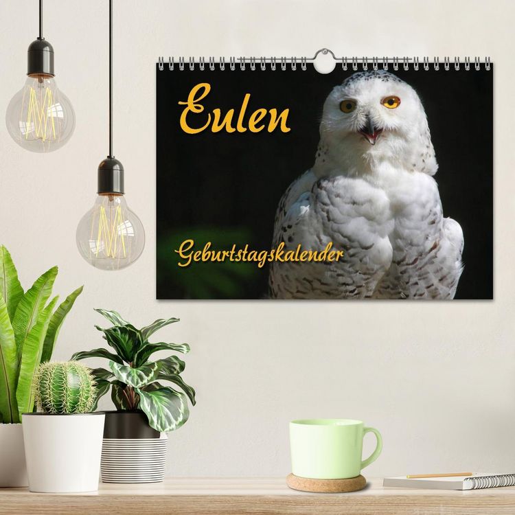 Produktbild: Eulen (Wandkalender 2026 DIN A4 quer), CALVENDO Monatskalender