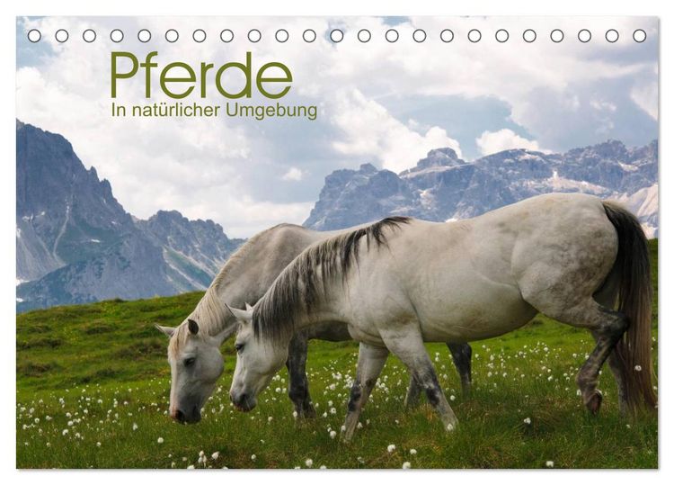Produktbild: Pferde - In nat&uuml;rlicher Umgebung (Tischkalender 2026 DIN A5 quer), CALVENDO Monatskalender