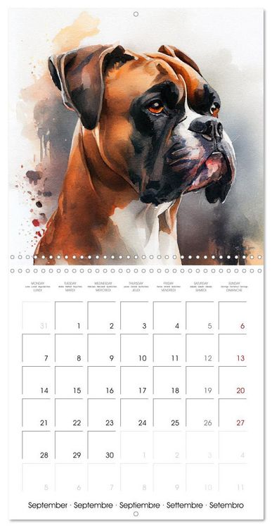 Produktbild: Dog Breeds in Watercolor (Wall Calendar 2026 12 &times; 12 Inch) CALVENDO 12 Month Wall Calendar