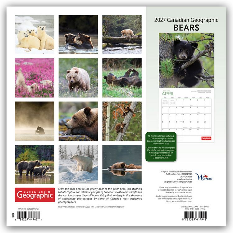 Produktbild: Bears &ndash; B&auml;ren 2027 &ndash; 16-Monatskalender