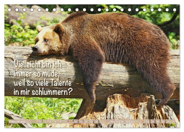 Produktbild: Spa&szlig; mit B&auml;ren: Edition lustige Tiere (Tischkalender 2026 DIN A5 quer), CALVENDO Monatskalender