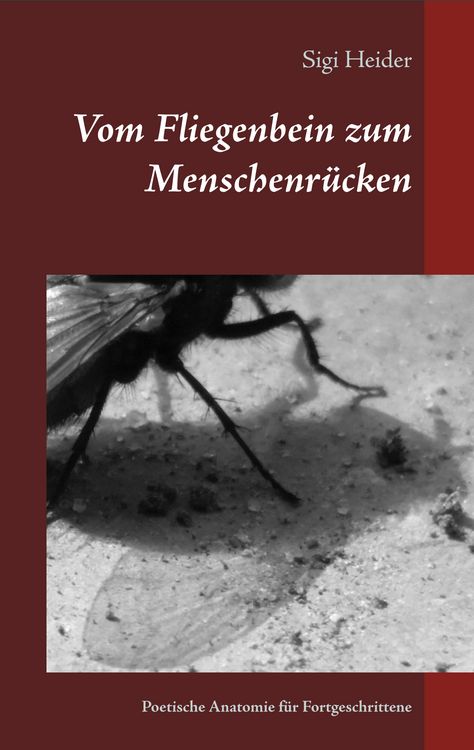 Produktbild: Vom Fliegenbein zum Menschenr&uuml;cken