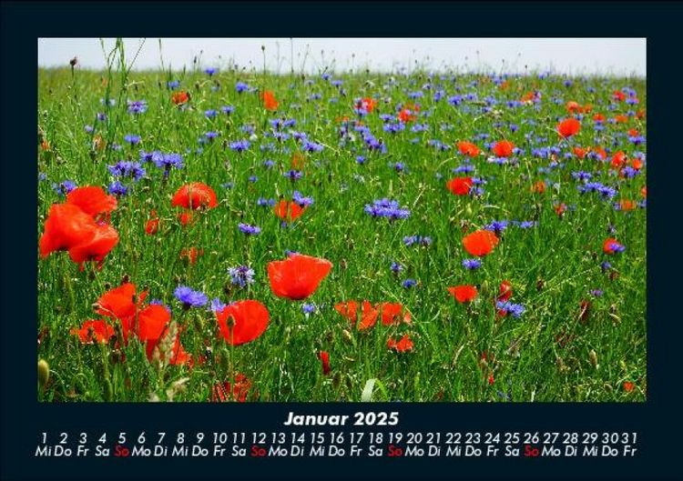 Produktbild: Blumentr&auml;ume 2025 Fotokalender DIN A5