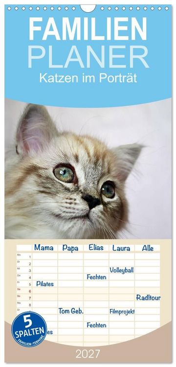 Produktbild: Familienplaner 2027 - Katzen im Portr&auml;t / Geburtstagskalender mit 5 Spalten (Wandkalender, 21 x 45 cm) CALVENDO