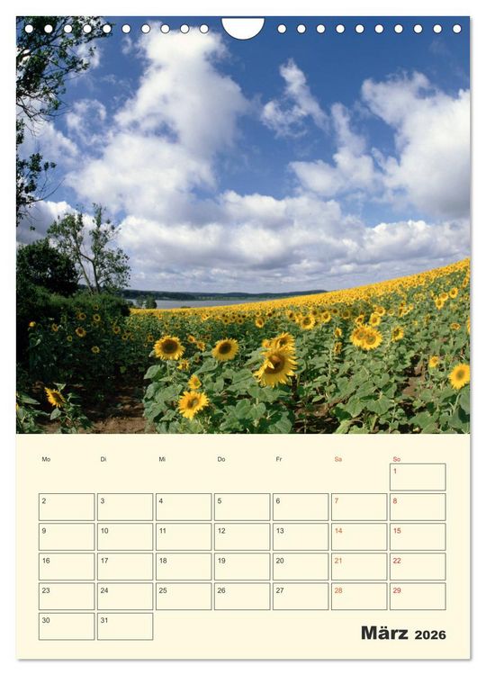 Produktbild: Usedom (Wandkalender 2026 DIN A4 hoch), CALVENDO Monatskalender