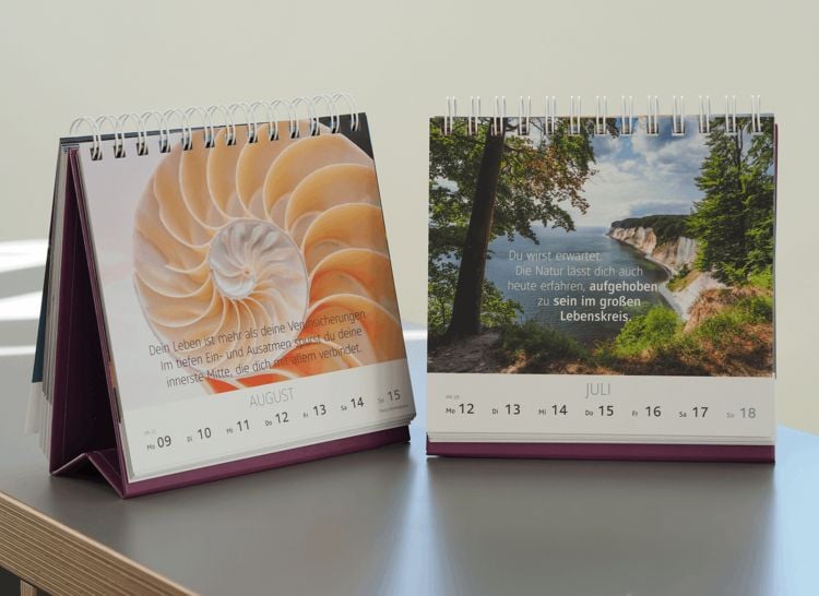 Produktbild: Wochenkalender 2027: Das Leben feiern