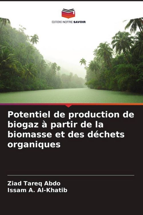 Produktbild: Potentiel de production de biogaz &agrave; partir de la biomasse et des d&eacute;chets organiques