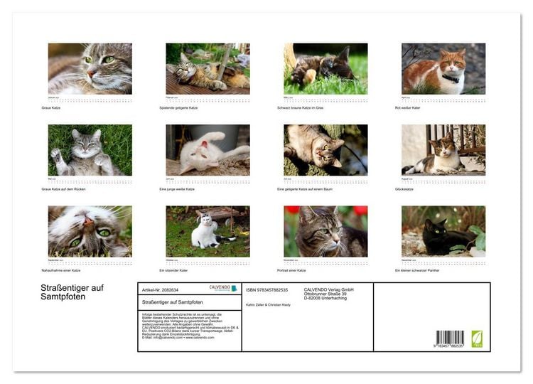 Produktbild: Stra&szlig;entiger auf Samtpfoten (Wandkalender 2026 DIN A2 quer), CALVENDO Monatskalender