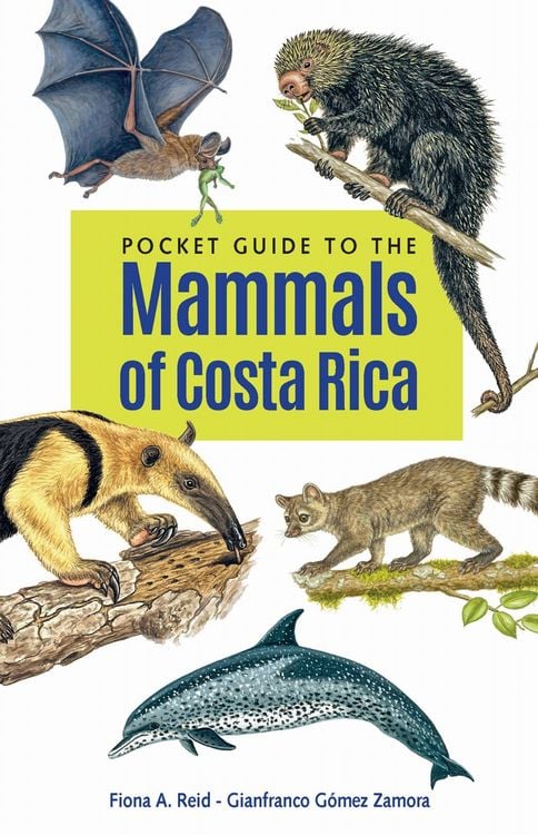 Produktbild: Pocket Guide to the Mammals of Costa Rica