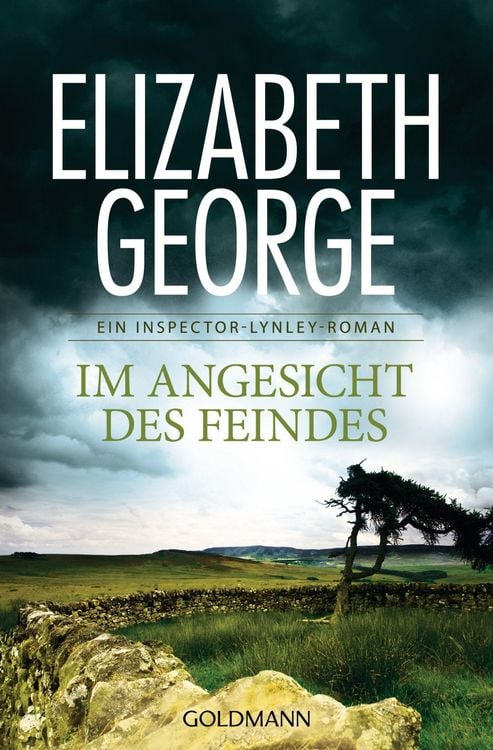 Produktbild: Im Angesicht des Feindes