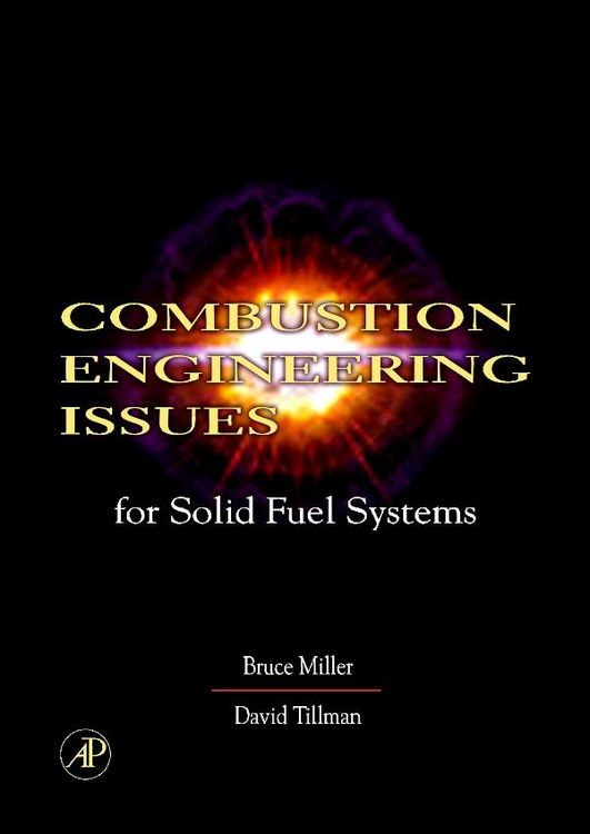 Produktbild: Combustion Engineering Issues for Solid Fuel Systems