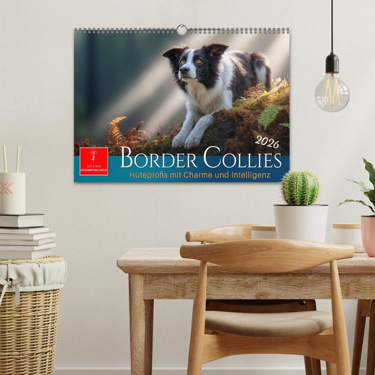 Produktbild: Border Collies H&uuml;teprofis (Wandkalender 2026 DIN A3 quer), CALVENDO Monatskalender