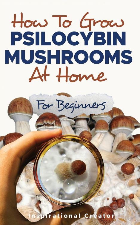 Produktbild: How to Grow Psilocybin Mushrooms at Home for Beginners