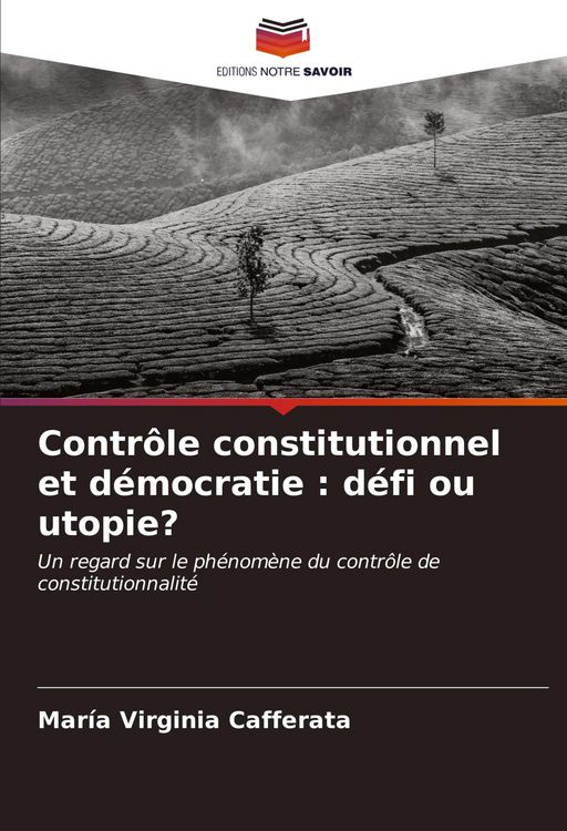 Produktbild: Contr&ocirc;le constitutionnel et d&eacute;mocratie : d&eacute;fi ou utopie?