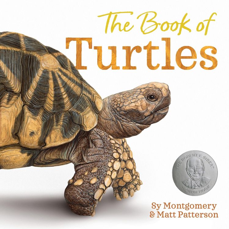 Produktbild: The Book of Turtles