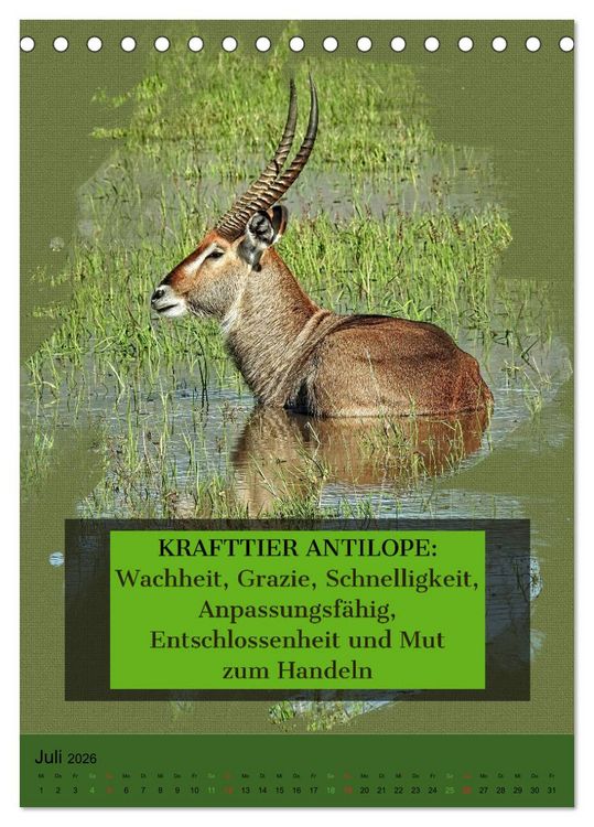 Produktbild: Afrikanische Krafttiere und deren Bedeutung (Tischkalender 2026 DIN A5 hoch), CALVENDO Monatskalender