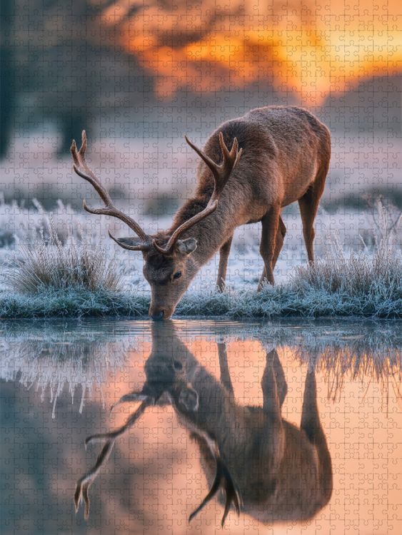 Produktbild: CALVENDO Puzzle Zwischen Schneeflocken und Stille schl&auml;gt das Herz des Winters | 1000 Teile Lege-Gr&ouml;&szlig;e 64x48cm Foto-Puzzle f&uuml;r gl&uuml;ckliche Stunden
