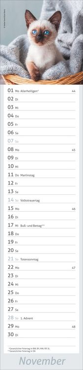 Produktbild: times&more Katzen Langplaner 2027