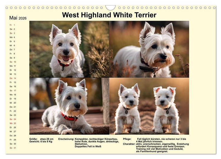 Produktbild: Terrier-Rassen im Portrait (Wandkalender 2026 DIN A3 quer), CALVENDO Monatskalender