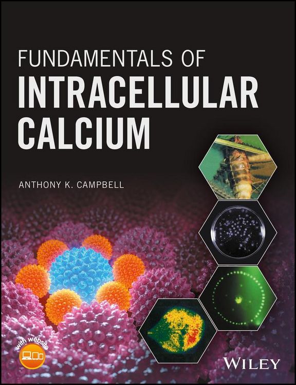 Produktbild: Fundamentals of Intracellular Calcium