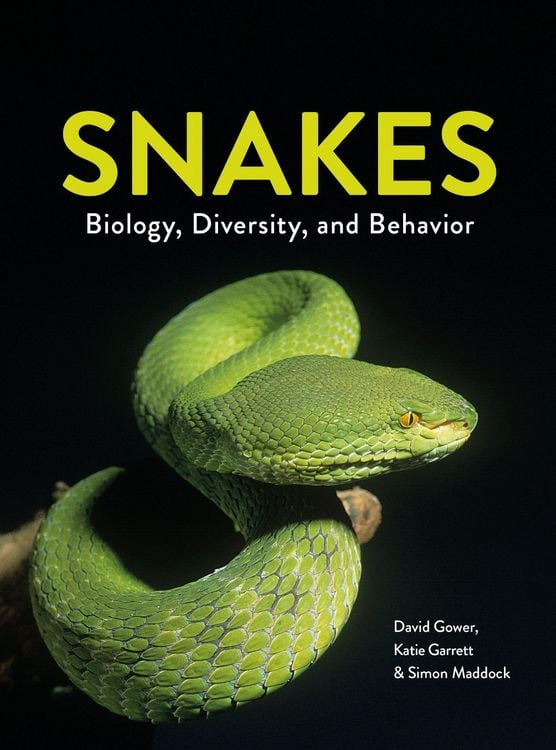 Produktbild: Snakes
