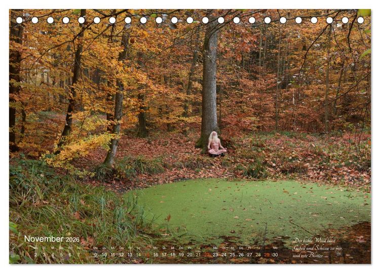 Produktbild: HAIKU AM TEICH (Tischkalender 2026 DIN A5 quer), CALVENDO Monatskalender