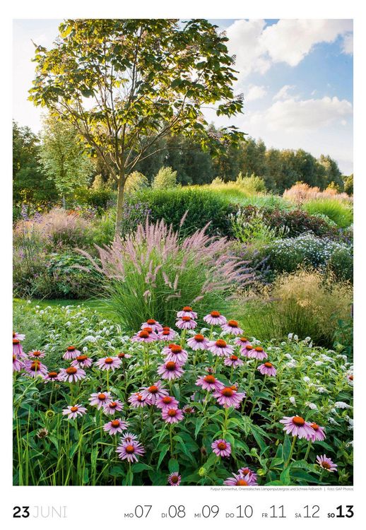 Produktbild: Garten Wochenkalender 2027