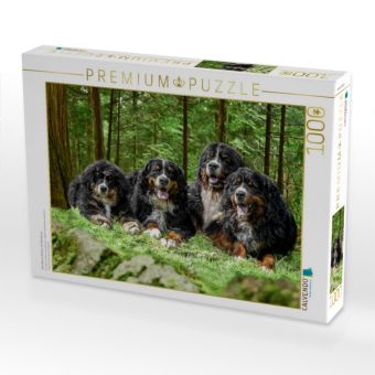 Produktbild: CALVENDO Puzzle Vier Berner R&uuml;den auf Abenteuer | 1000 Teile Lege-Gr&ouml;&szlig;e 64x48cm Foto-Puzzle f&uuml;r gl&uuml;ckliche Stunden