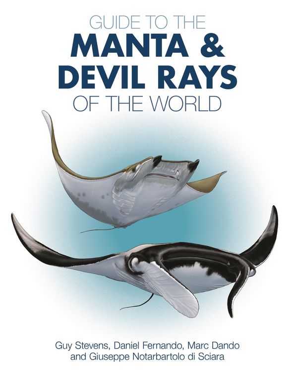 Produktbild: Guide to the Manta and Devil Rays of the World