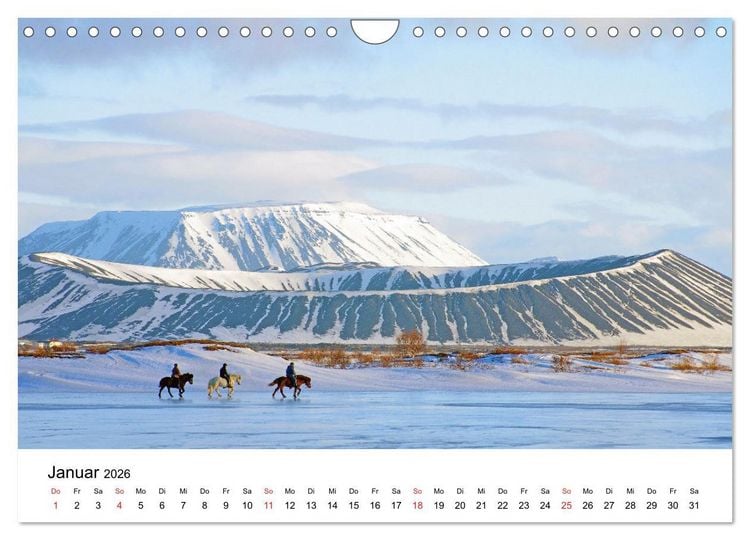 Produktbild: Die Pferde Islands - Ein Streifzug durch Island (Wandkalender 2026 DIN A4 quer), CALVENDO Monatskalender