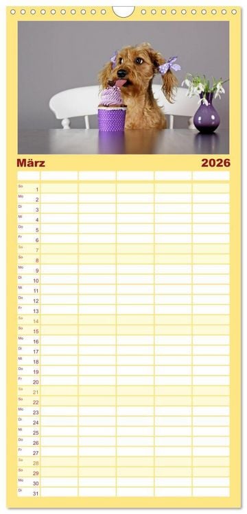 Produktbild: Familienplaner 2026 - DACKELmix Elli Pirelli mit 5 Spalten (Wandkalender, 21 x 45 cm) CALVENDO
