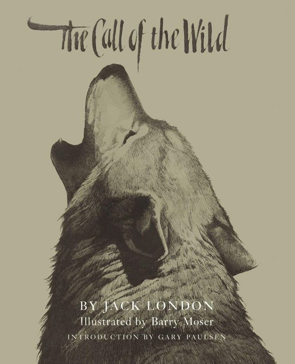 Produktbild: The Call of the Wild