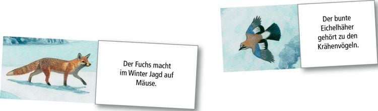 Produktbild: Wand-Adventskalender &ndash; Wintertiere bei Nacht
