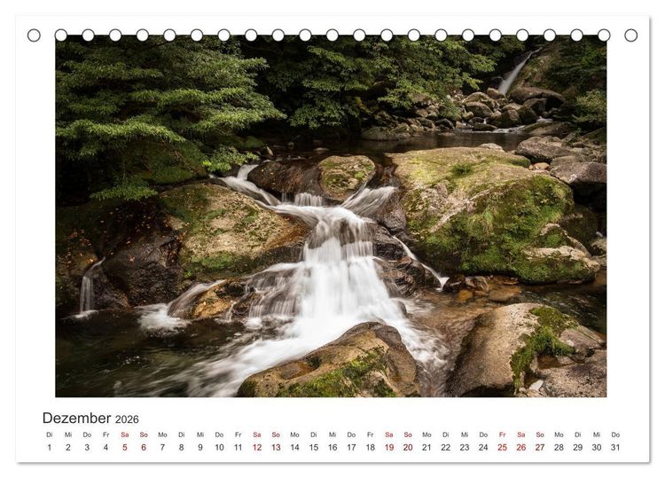 Produktbild: Yakushima - Japans Weltnaturerbe (Tischkalender 2026 DIN A5 quer), CALVENDO Monatskalender