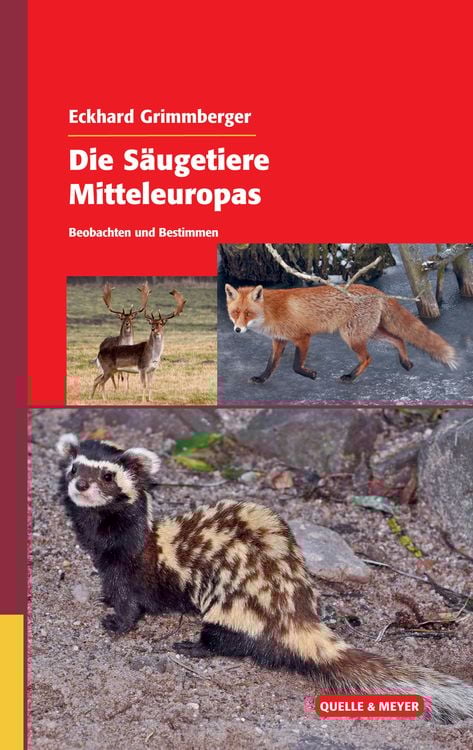 Produktbild: Die Säugetiere Mitteleuropas