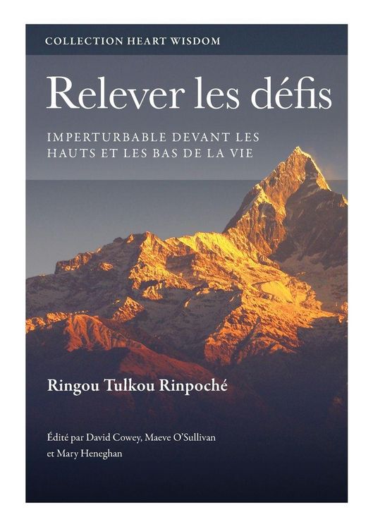 Produktbild: Relever les d&eacute;fis