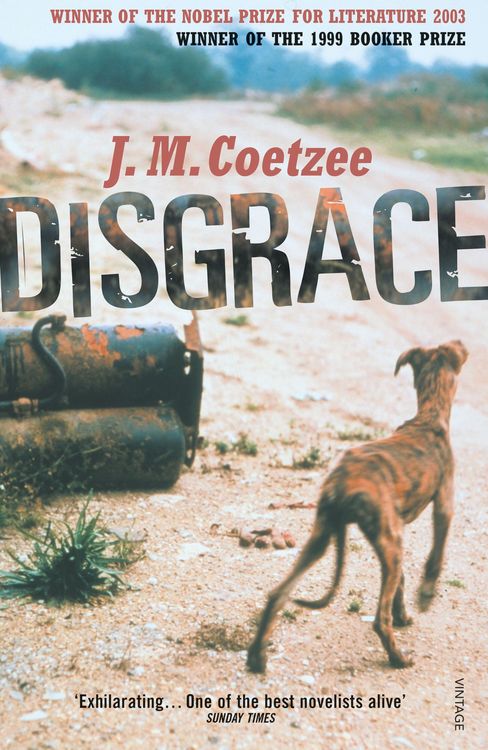 Produktbild: Disgrace